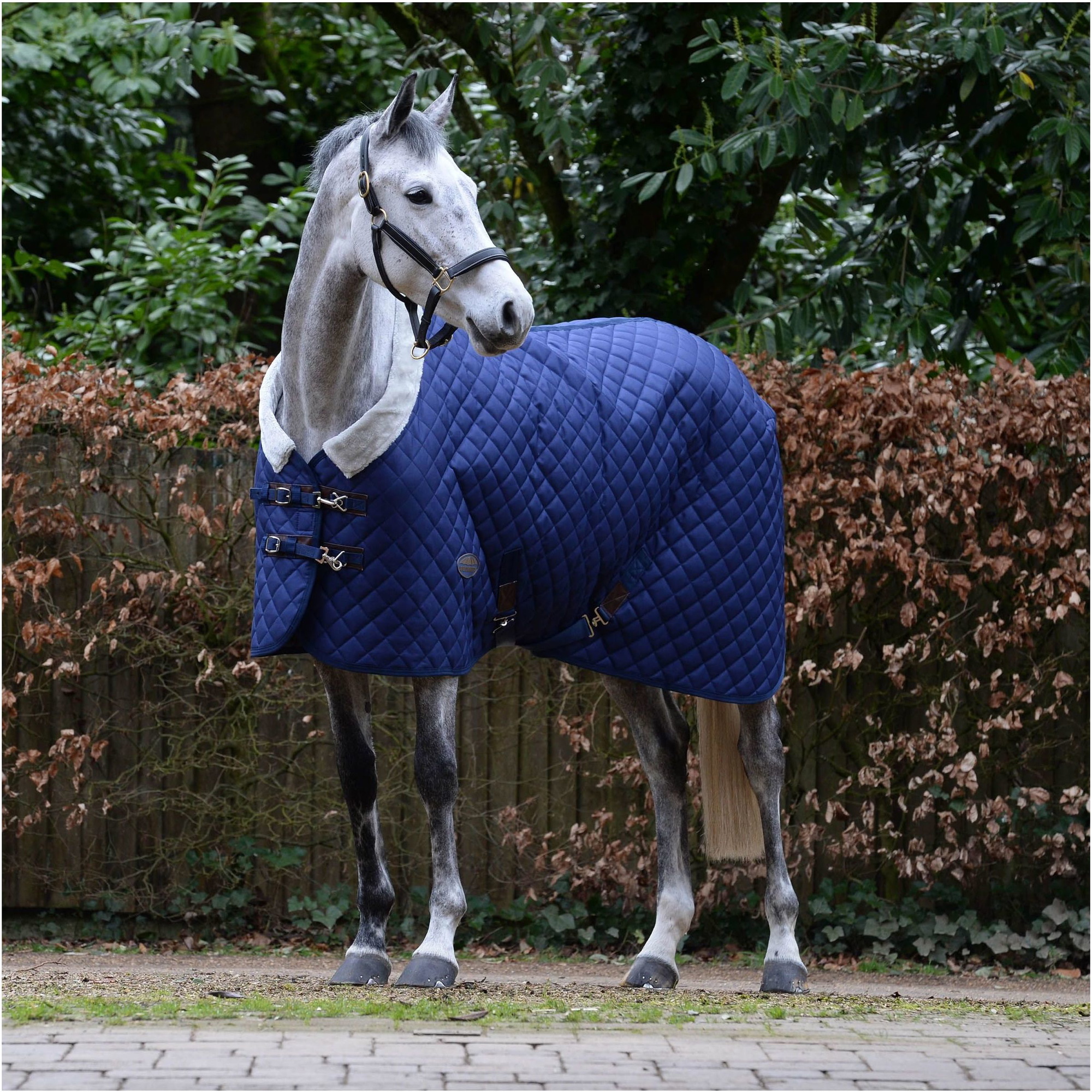 Weatherbeeta Comfitec Deluxe Diamond Quilt Medium Standard Nackenschutz - Navy
